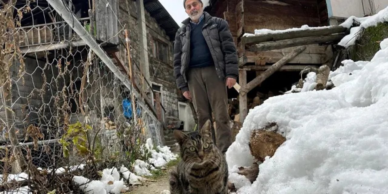 Artvin’de mahsur kalan kedileri unutmadı! Karlı yolları aşıyor