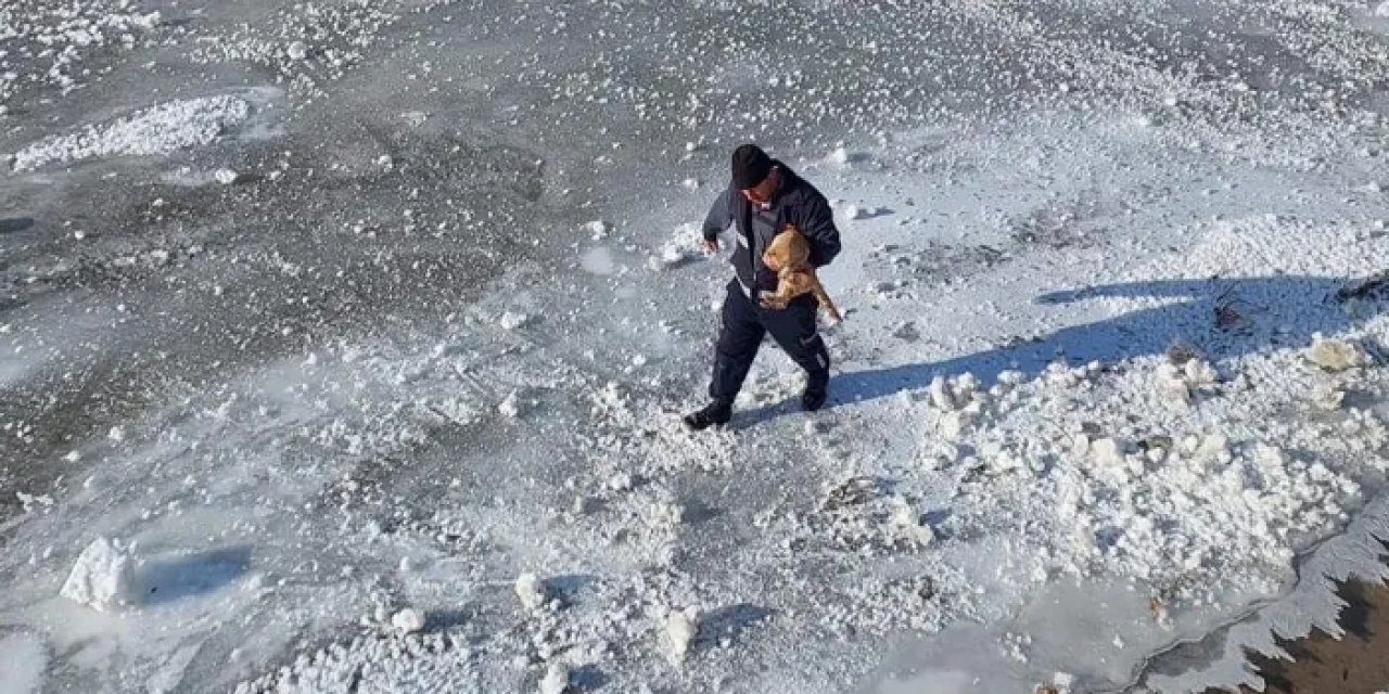 Bayburt’ta buz tutan nehre giren kedinin imdadına koşuldu!