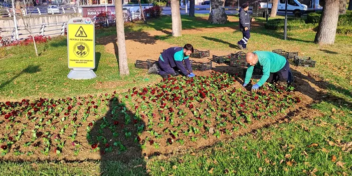 Trabzon’da ekipler çevreyi güzelleştiriyor! İşte yapılan çalışmalar