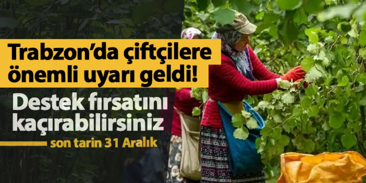 Trabzon'da çiftçilere önemli uyarı! Destek fırsatını kaçırabilirsiniz: Son tarih 31 Aralık