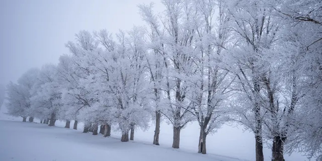 Erzurum Türkiye'nin en soğuk ili oldu