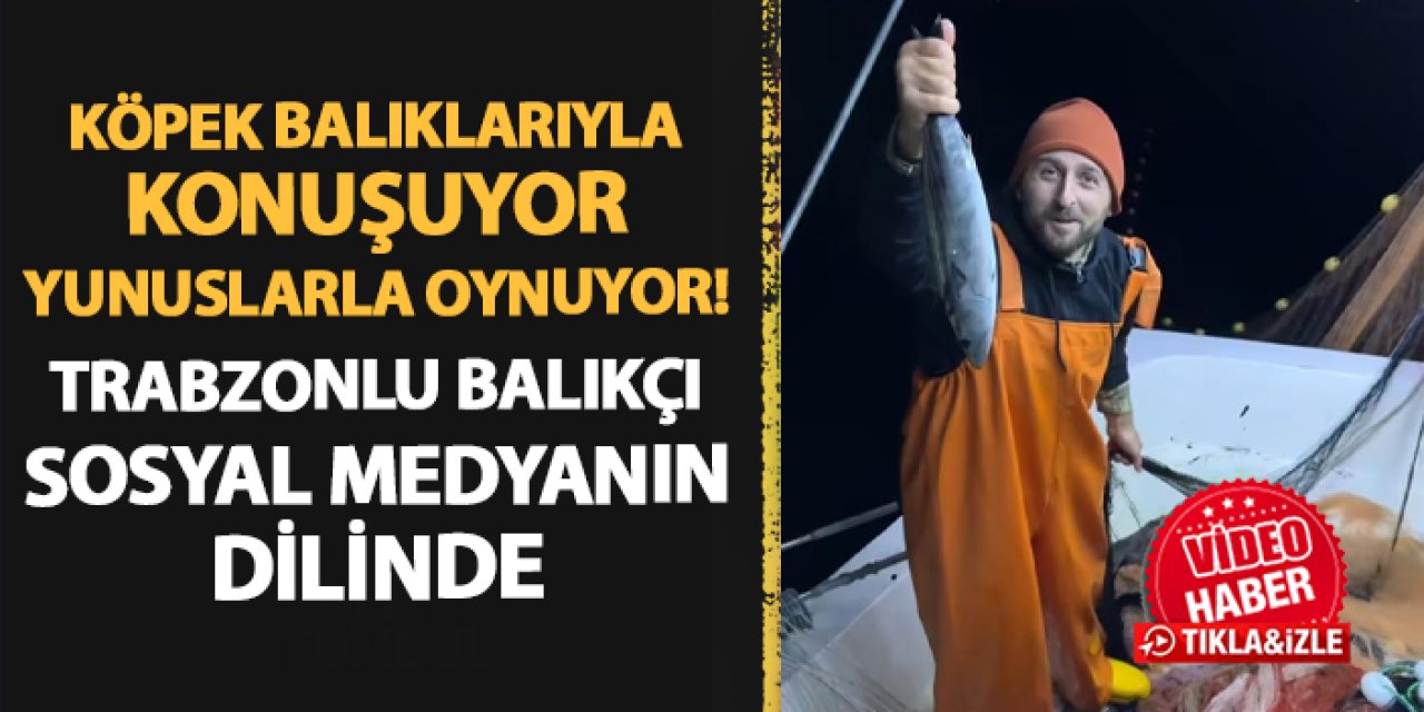 Köpek balıklarıyla konuşuyor, yunuslarla oynuyor: Trabzonlu balıkçı sosyal medyanın dilinde