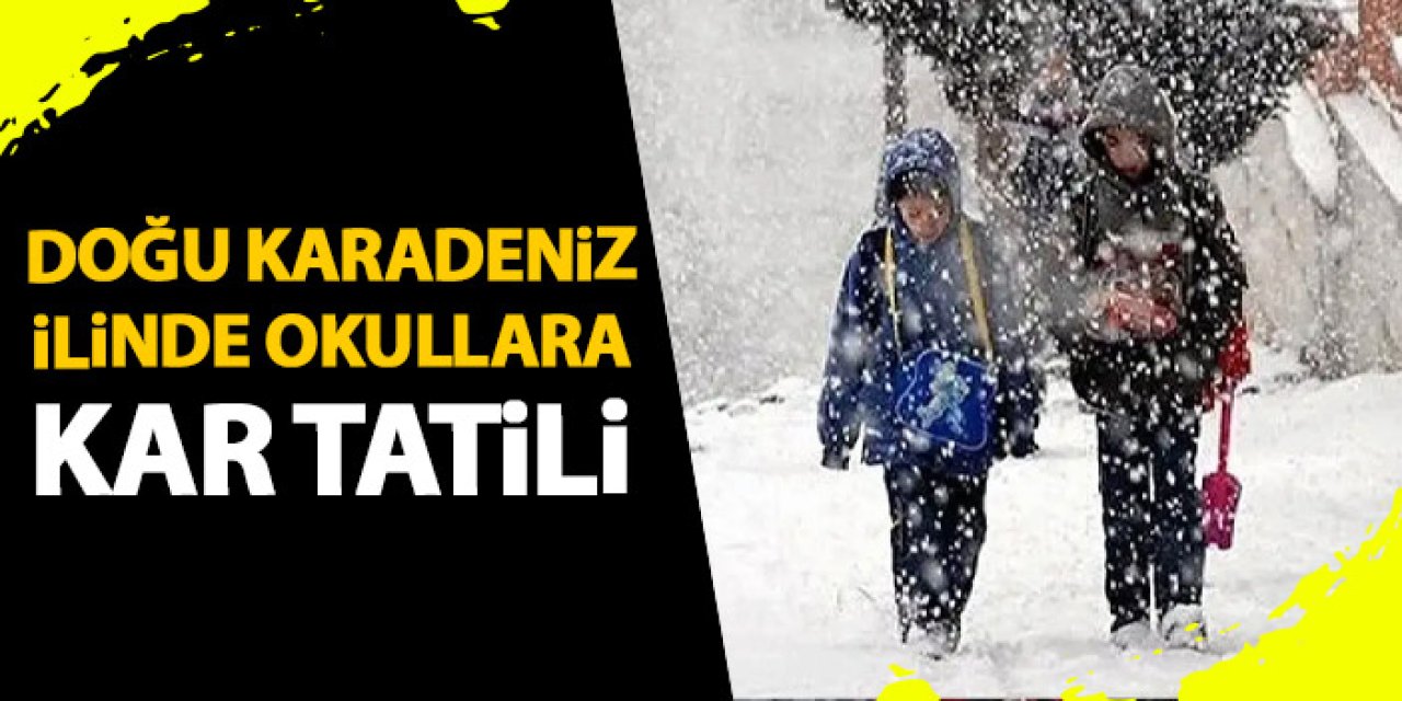 Doğu Karadeniz ilinde okullara kar tatili