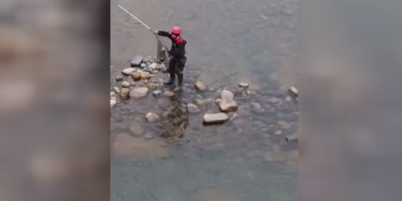 Rize'de derede mahsur kalan kedi için seferberlik