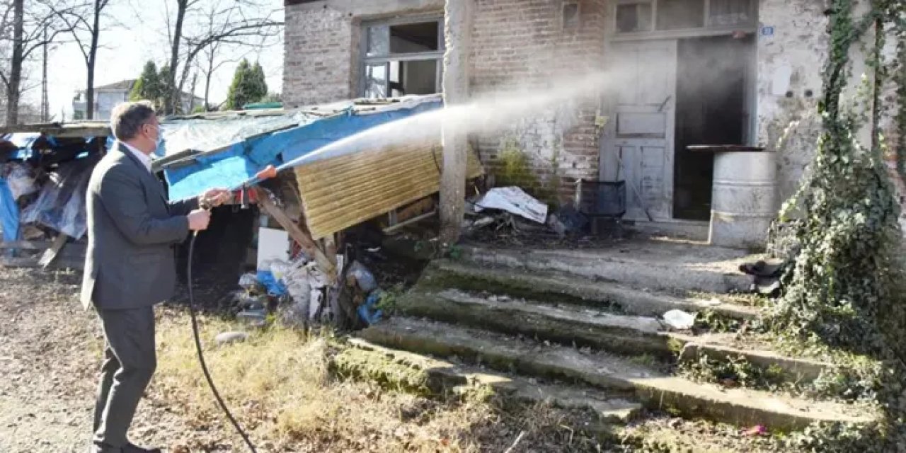 Samsun’da belediye başkanları kahverengi kokarca için ilaçlama yaptı