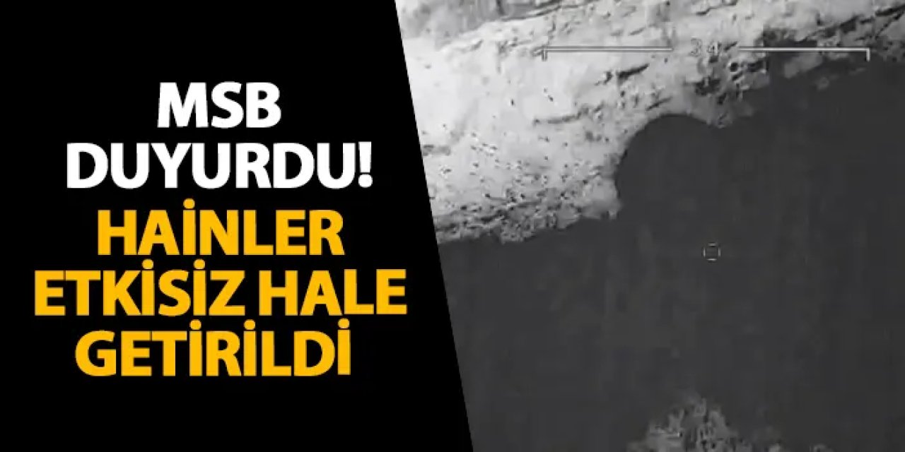 MSB duyurdu! Hainler etkisiz hale getirildi