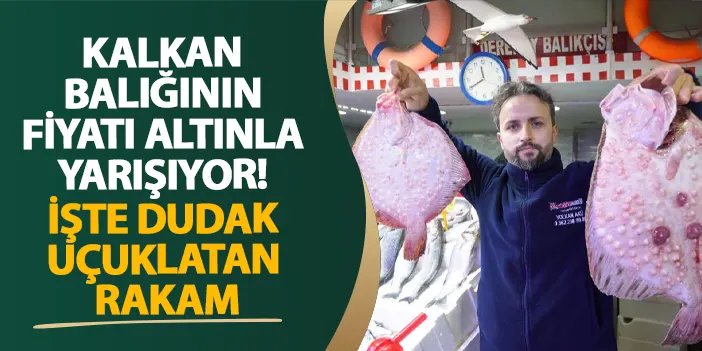 Kalkan balığının fiyatı altınla yarışıyor! İşte dudak uçuklatan rakam