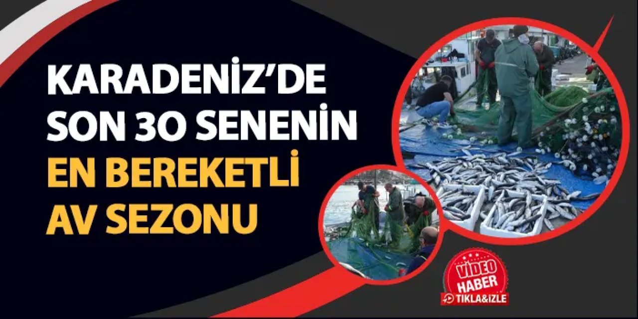 Karadeniz'de son 30 yılın en bereketli av sezonu! Tezgâhlarda bolluk yaşanıyor