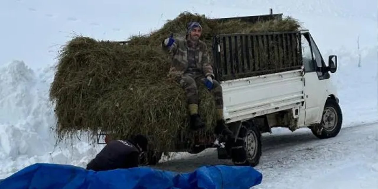 Artvin’de kış şartlarında hayvanlar için zorlu ot taşıma!