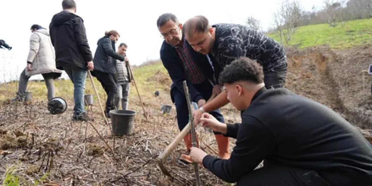 Samsun’da fındık üreticisinin o derdine çözüm bulundu!