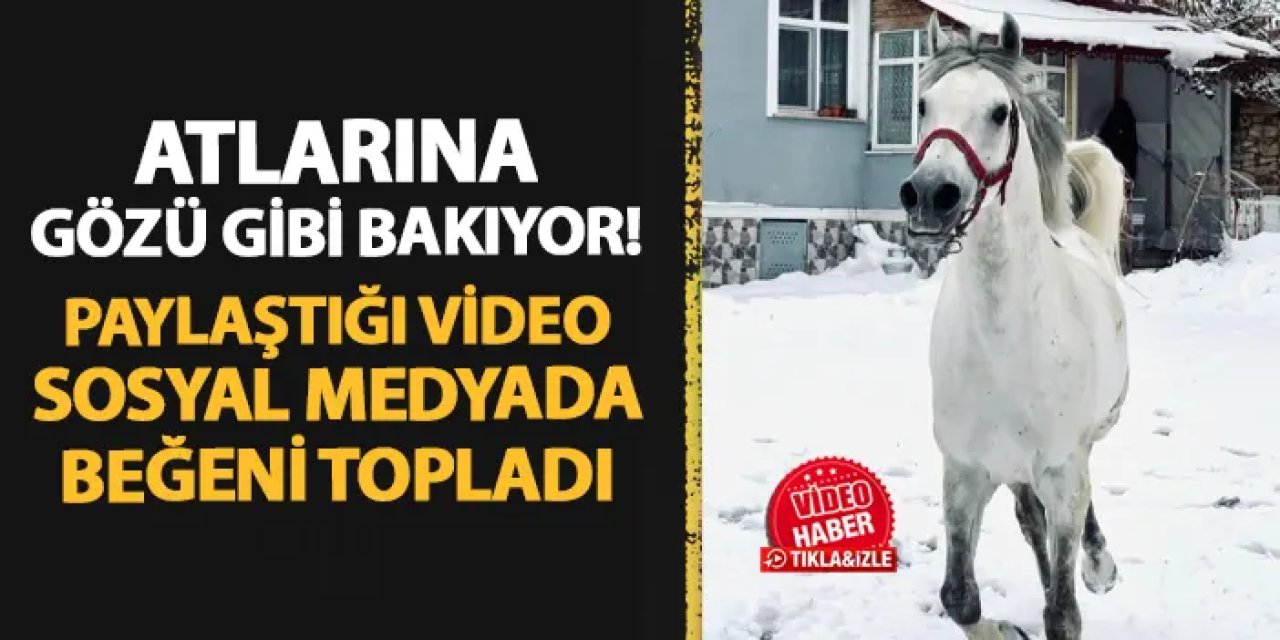 Bayburt'ta atlarına gözü gibi bakıyor! Paylaştığı video sosyal medyada beğeni topladı