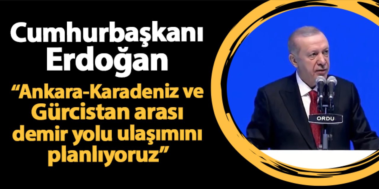 Cumhurbaşkanı Erdoğan: "Ankara-Karadeniz ve Gürcistan arası demir yolu ulaşımını planlıyoruz”