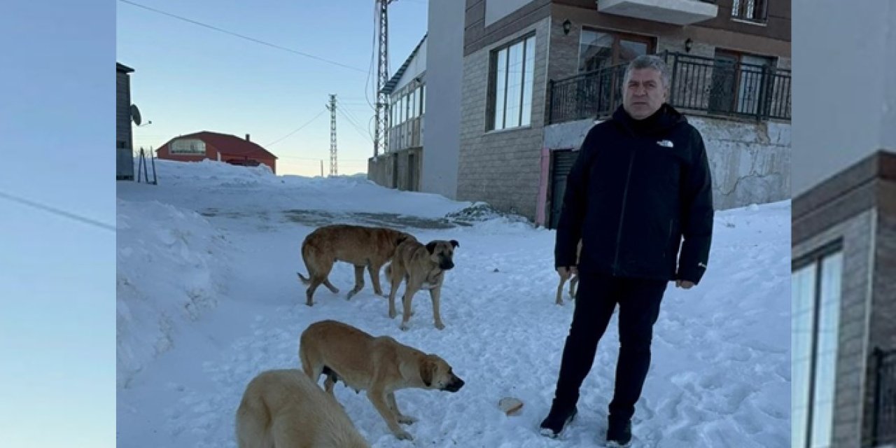 Giresun Bektaş Yaylasındaki sahipsiz köpeklere yiyecek desteği