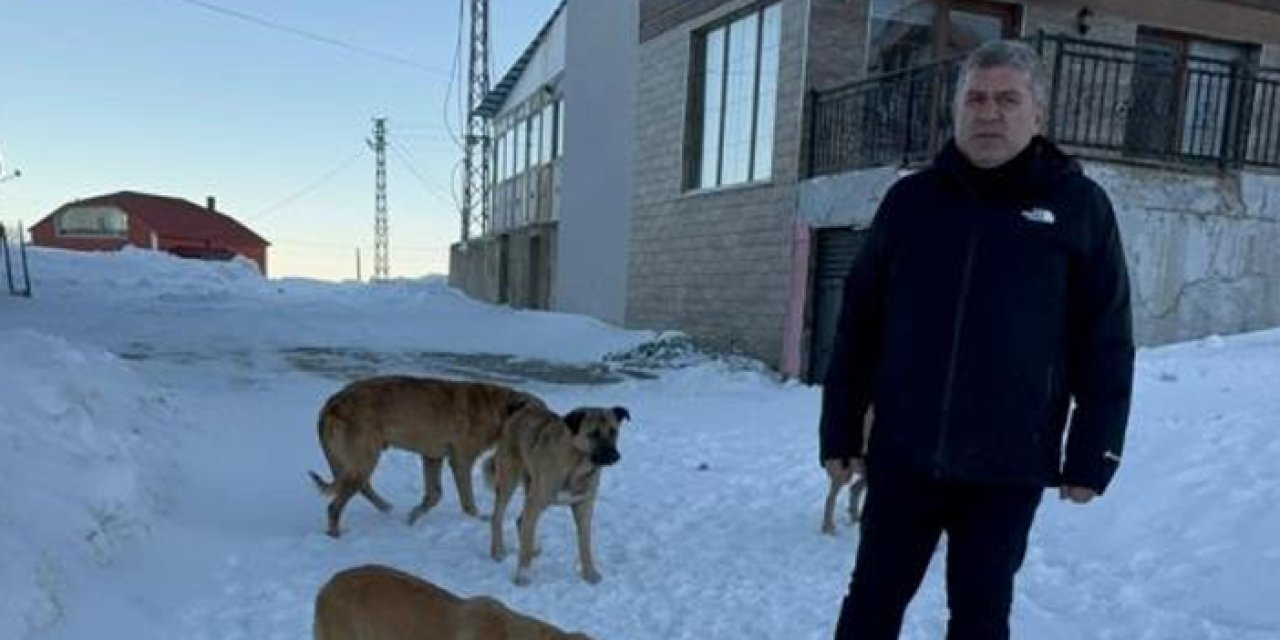 Giresun'da belediye başkanı yayladaki köpekler için harekete geçti