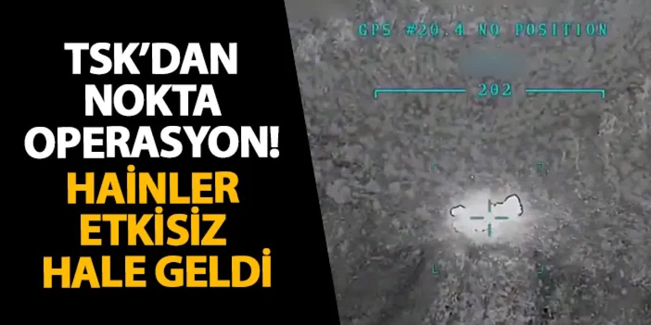 TSK’dan nokta operasyon! Hainler etkisiz hale geldi