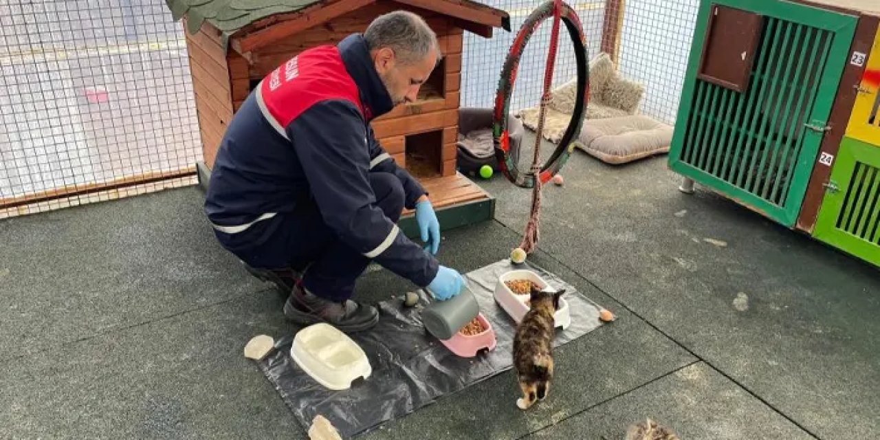 Giresun Belediyesi yemek atıklarını mamaya dönüştürüyor