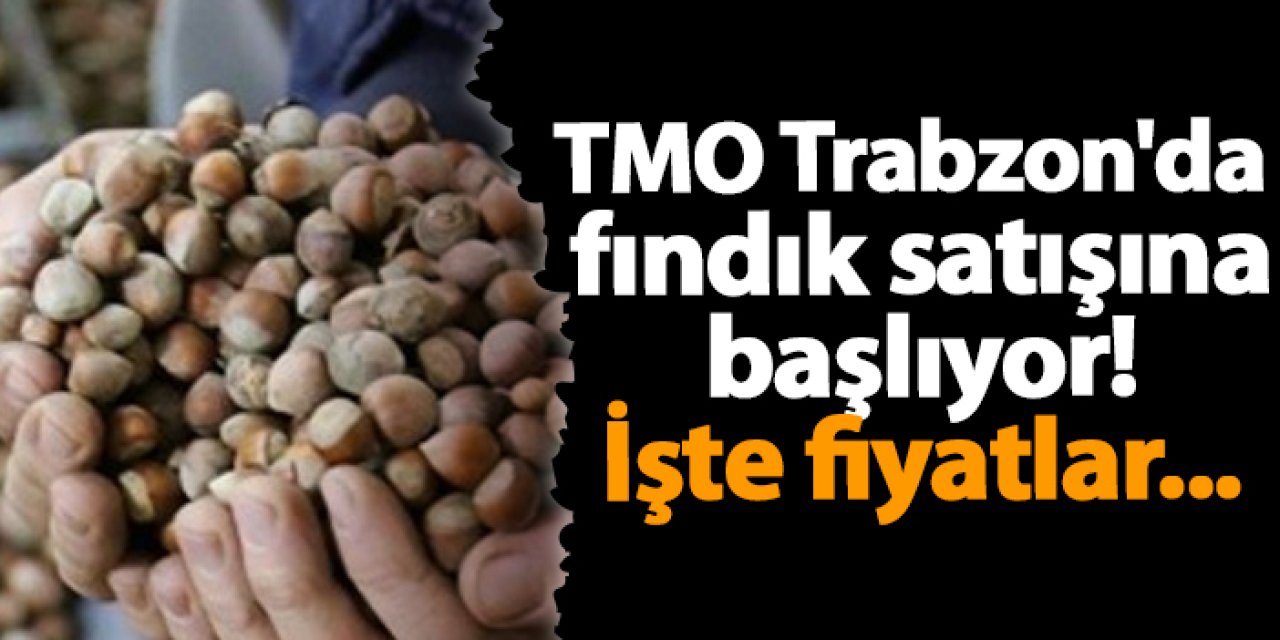 TMO Trabzon'da fındık satışına başlıyor! İşte fiyatlar...