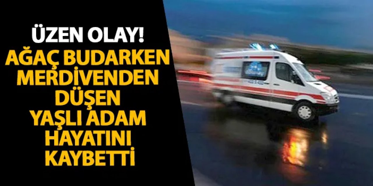 Samsun’da üzen olay! Ağaç budarken merdivenden düşen yaşlı adam hayatını kaybetti