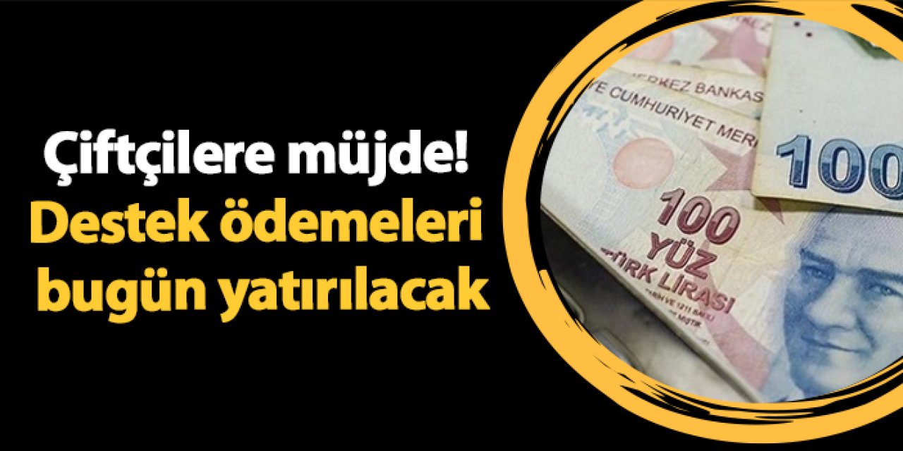 Çiftçilere müjde! Destek ödemeleri bugün yatırılacak