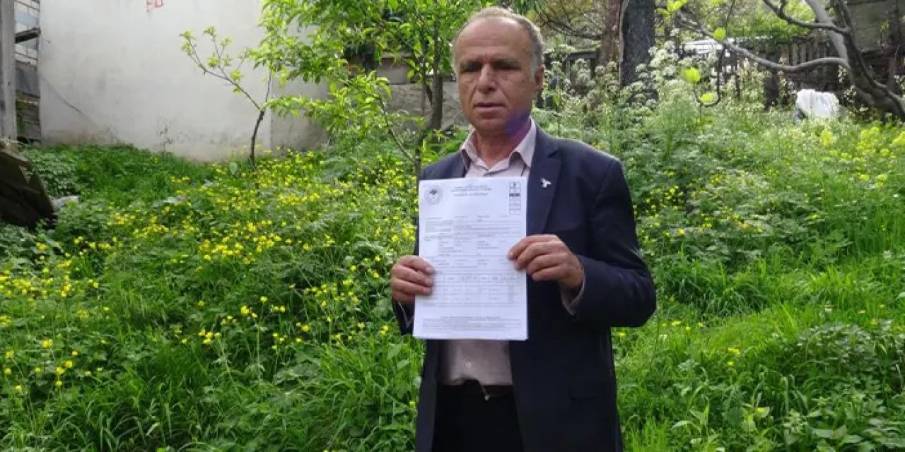 Sahte bal alarmı: "Artvin balı" adıyla tüketici kandırılıyor!
