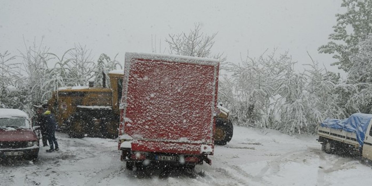 Samsun'da kar etkili oldu