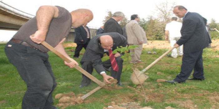 Trabzon'da 'Adliye Ormanı'