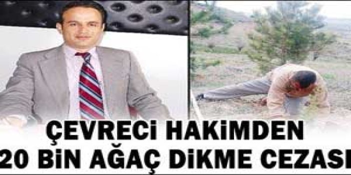 Çevreci hakimden ilginç ceza