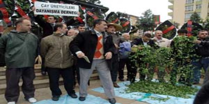 Çay üreticisinden PROTESTO