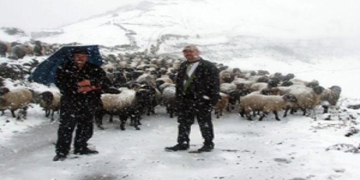 Karadeniz yaylaları kar altında