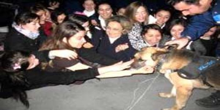 Köpeğin tayini Rize'ye çıktı