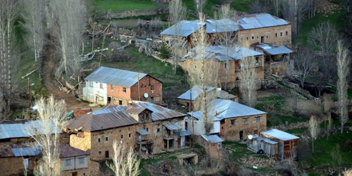 Doğu Karadeniz'in Safranbolu'su olacak!