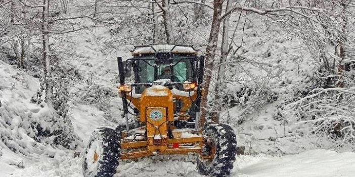 Giresun'da kar 377 köy yolunu kapattı