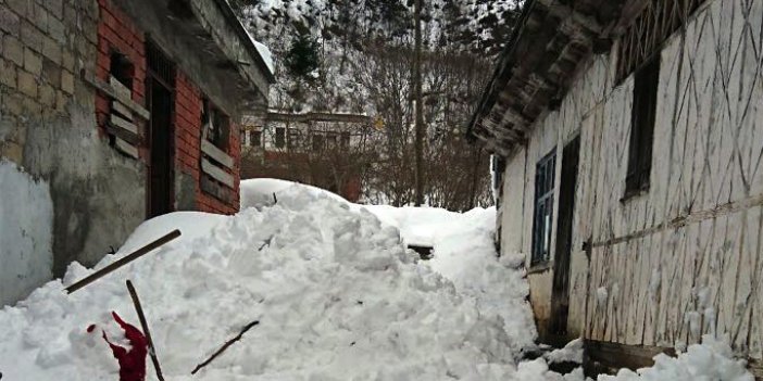 Trabzon'da talihsiz kaza can aldı!