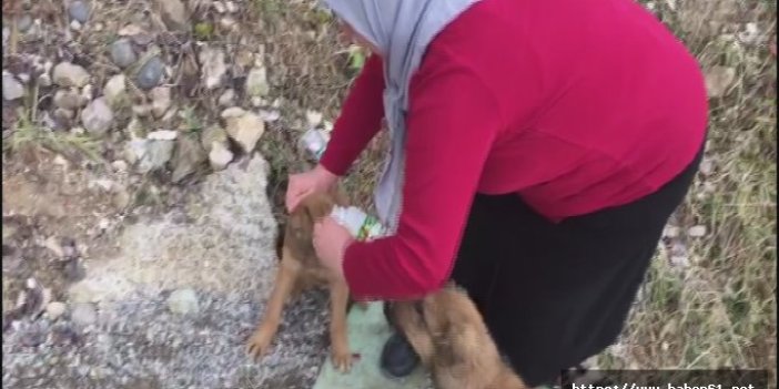 Giresun'da 'İnsanlık ölmemiş' dedirten hareket