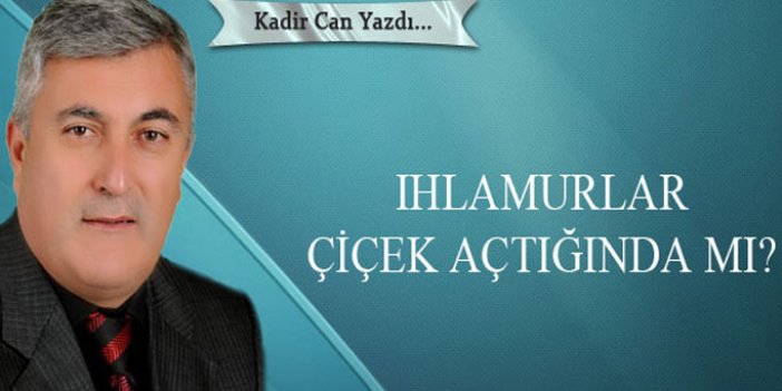 Ihlamurlar çiçek açtığında mı?