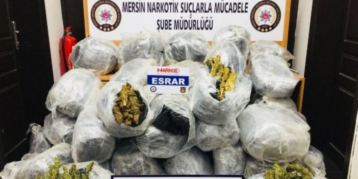 198 kilo esrar ele geçirildi