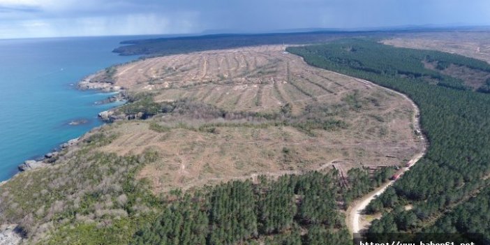 Nükleer santral için Karadeniz katlediliyor