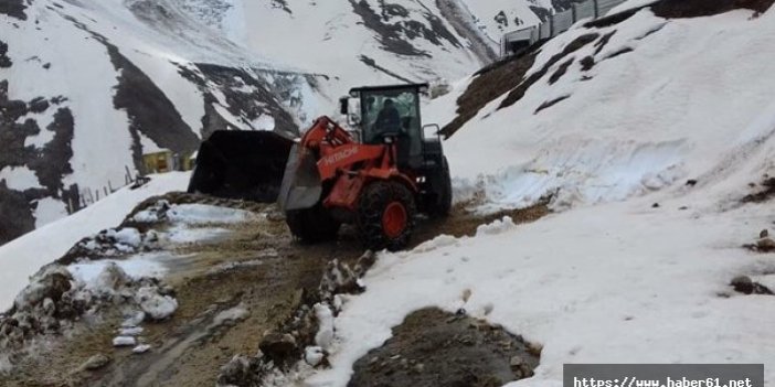 Rize'de kar nedeniyle kapalı yayla yolları açılıyor 