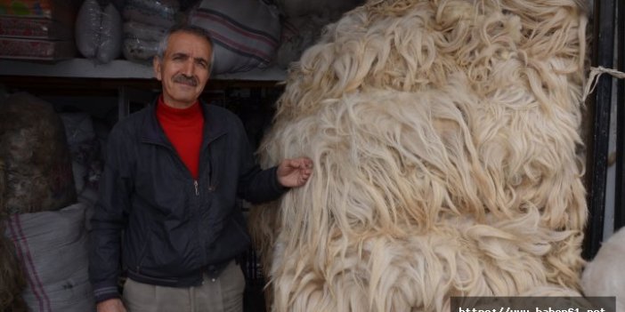 Yüncülerin sezondan beklentisi büyük 