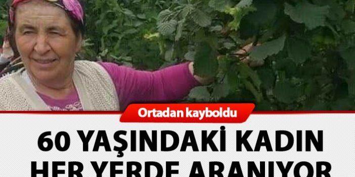 Ordu'da 60 yaşındaki kadın ortadan kayboldu: Her yerde aranıyor