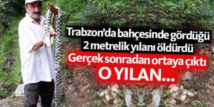 Trabzon'da bulunan o yılan meğer...