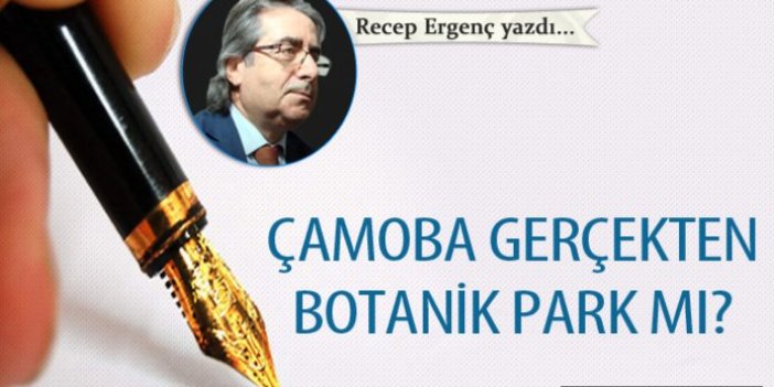 Çamoba gerçekten botanik park mı?