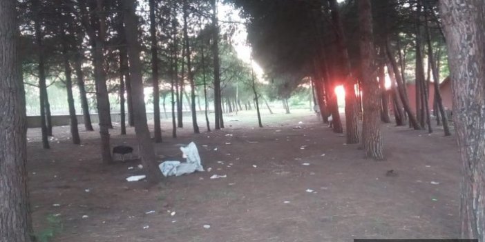 Balık festivali kana bulandı: 2 ölü 3 yaralı