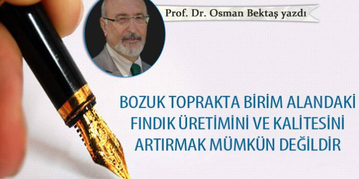 Bozuk toprakta birim alandaki fındık üretimini ve kalitesini artırmak mümkün değildir