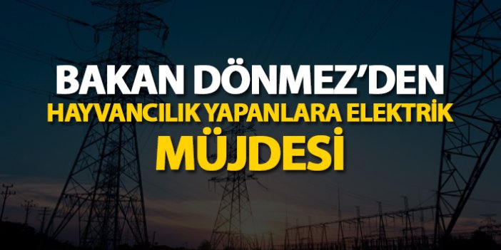 Bakan Dönmez'dan hayvancılık yapanlara elektrik müjdesi