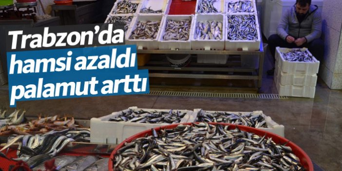 Trabzon'da hamsi azaldı palamut arttı