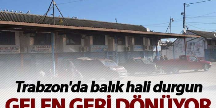 Trabzon'da balık hali durgun - Gelen geri dönüyor