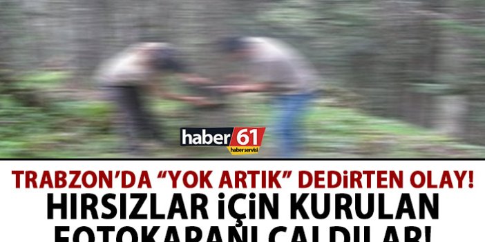 Trabzon'da hırsızları yakalamak için kurulan fotokapanları çaldılar!