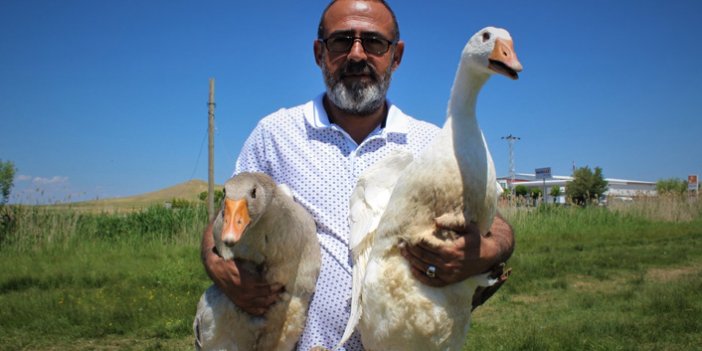 Ülke ekonomisine katkı sunmak için...