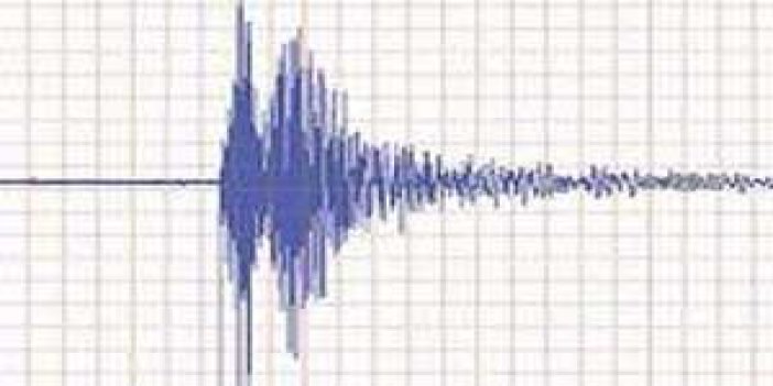 Şiddetli Deprem Panik Yaşattı